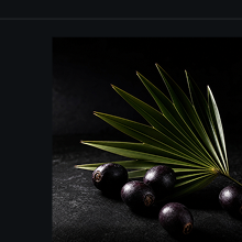 Saw Palmetto Extract